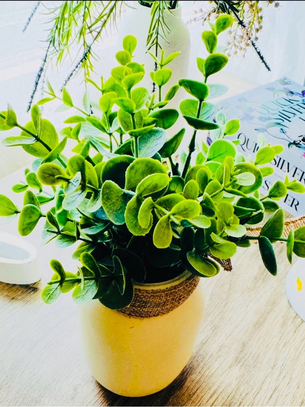 Green Faux Eucalyptus Plant in Cream Ceramic Pot - Home Accents